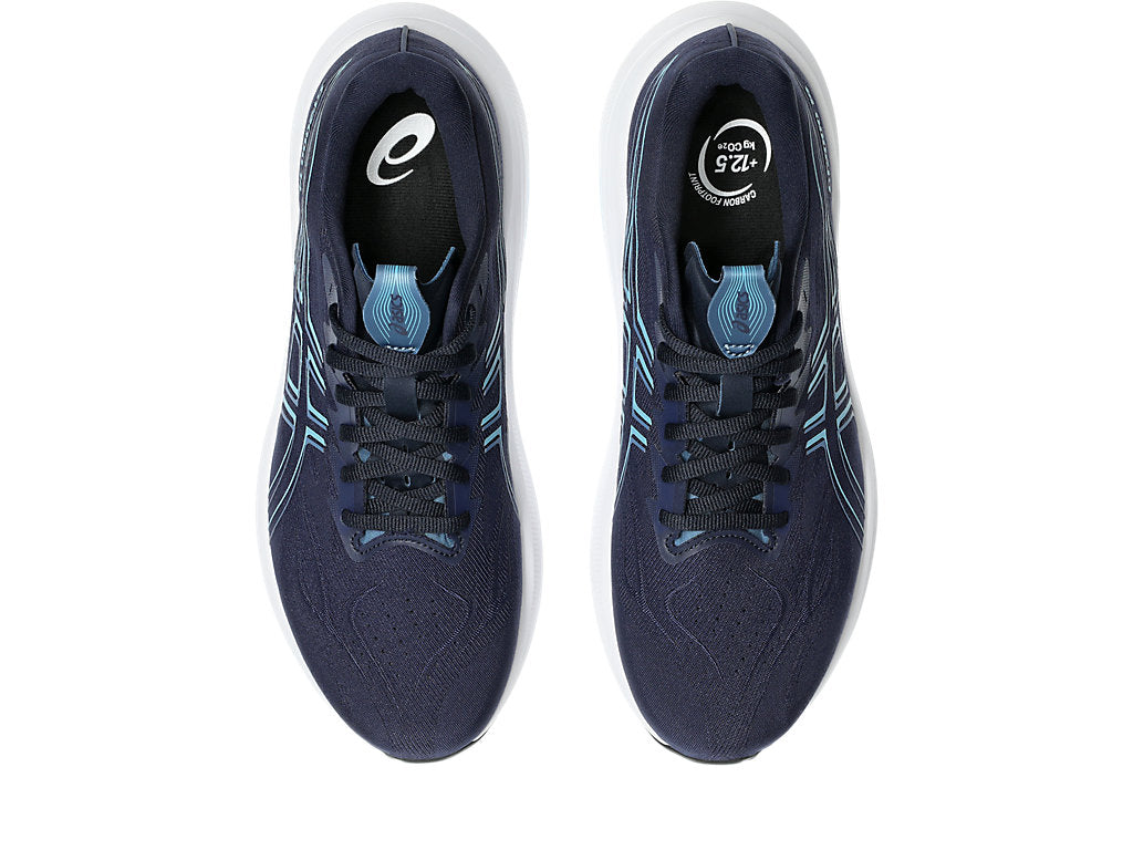 Asics Men's GT-2000 14