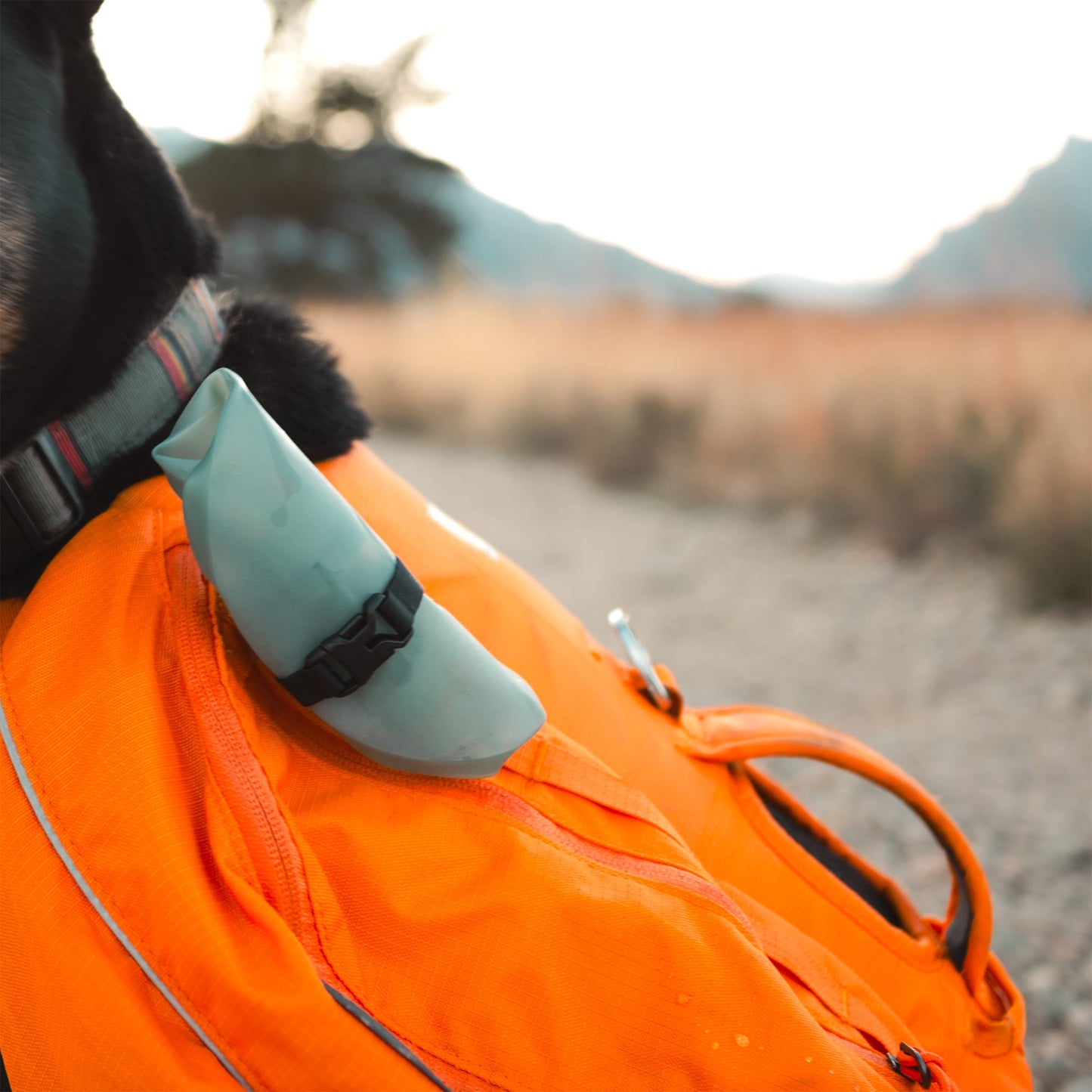 Hydrapak Rover Dog Bowl