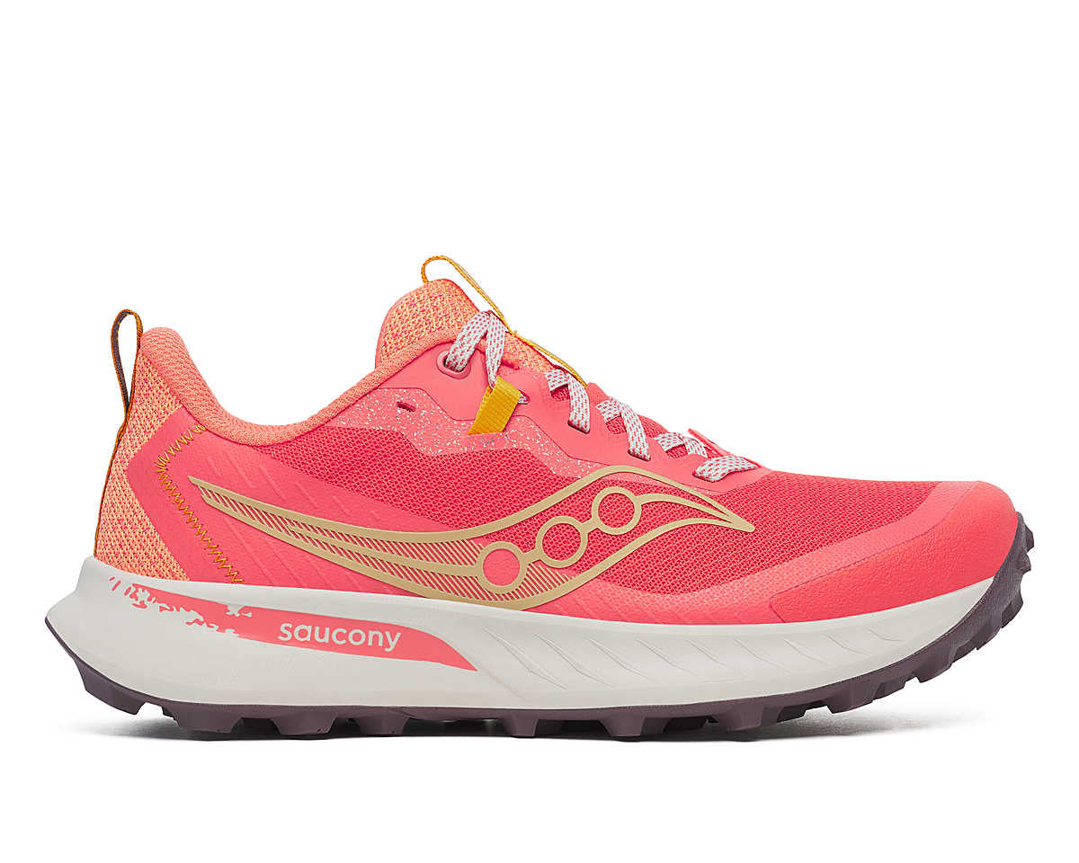 Saucony Women's Peregrine 15