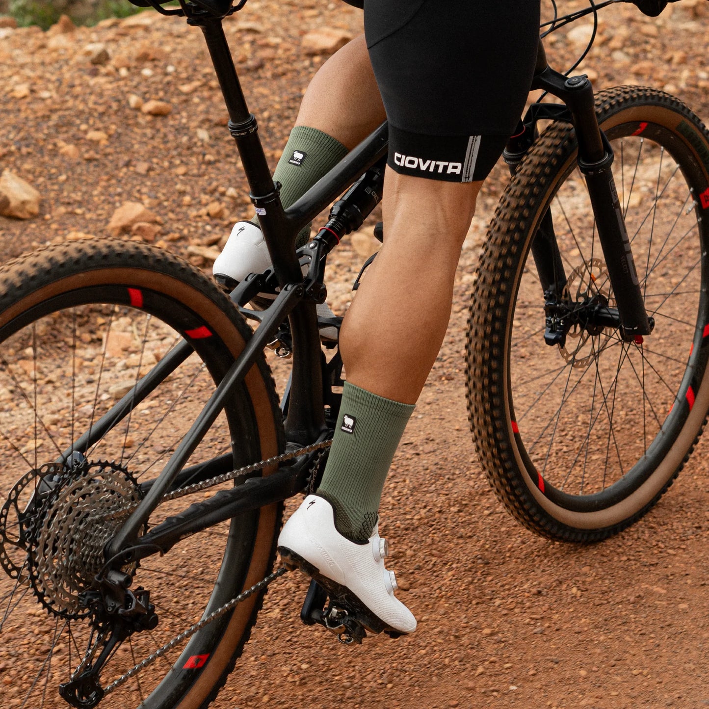 Versus Pine Merino Winter Crew Socks